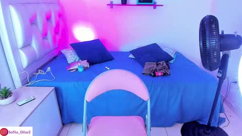 Snapshot of sofiia_diiaz chatting on March 2025 06:33:01 PM Sofa Daz online show from March 2025 06:33:01 PM