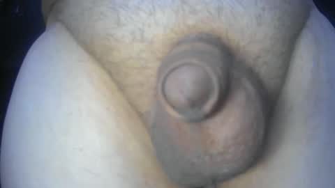 soft4you online show from May 2026 06:01:01 PM