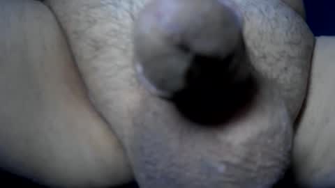 soft4you online show from May 2026 07:06:01 AM