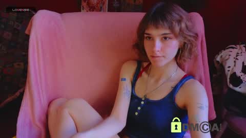 Snapshot of soft_animal chatting on June 2026 12:04:02 PM E online show from June 2026 12:04:02 PM