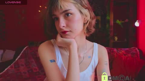 Snapshot of soft_animal chatting on July 2026 09:34:01 AM E online show from July 2026 09:34:01 AM