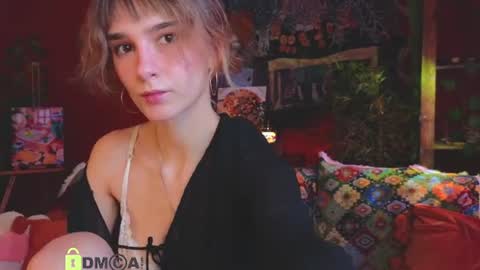 Snapshot of soft_animal chatting on July 2026 11:53:01 AM E online show from July 2026 11:53:01 AM