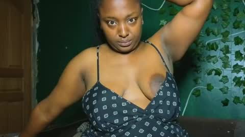 Solly bunny online show from August 2026 12:42:01 AM