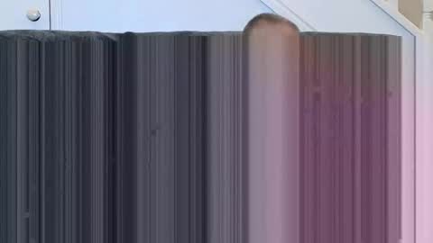 Snapshot of soloman7 chatting on November 2025 01:07:02 PM jeff online show from November 2025 01:07:02 PM