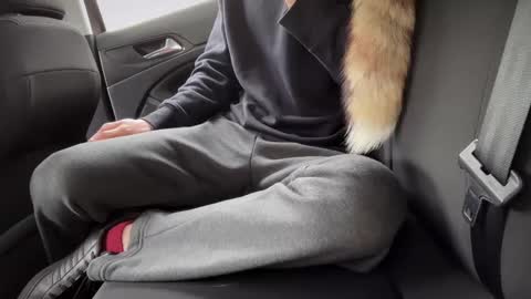 Snapshot of sondages chatting on February 2025 08:49:02 AM Sondages online show from February 2025 08:49:02 AM