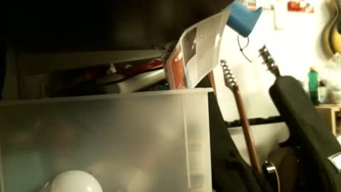 Snapshot of sonnyboy18 chatting on January 2025 08:23:02 PM BruceWilly online show from January 2025 08:23:02 PM