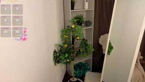 Hello im Virginia online show from April 2026 07:58:02 PM