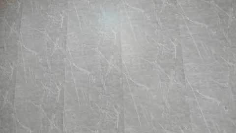 Sophi Thaylorr online show from January 2026 12:31:01 PM