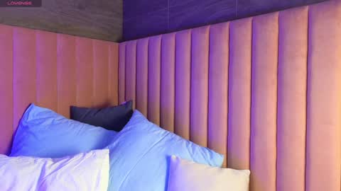 Snapshot of sophia_dreamy chatting on January 2025 01:24:01 AM Sophia online show from January 2025 01:24:01 AM