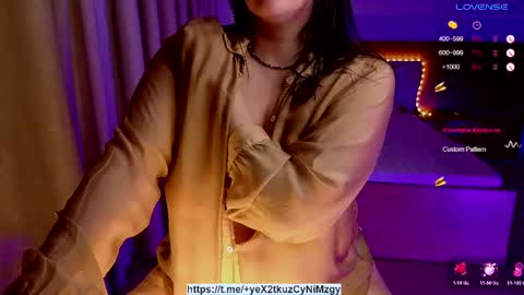 Snapshot of sophiasoft chatting on June 2026 01:53:02 PM Sophia online show from June 2026 01:53:02 PM