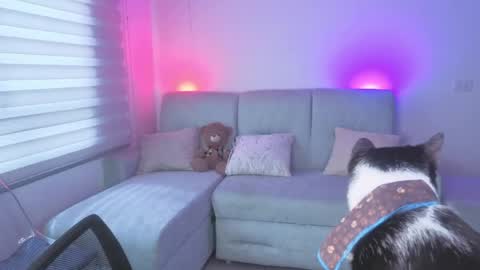 Snapshot of sophie_bbs chatting on May 2026 03:18:02 PM Sophie online show from May 2026 03:18:02 PM
