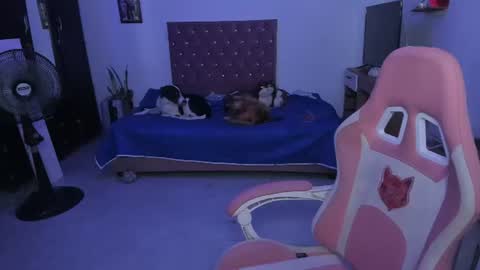 Snapshot of sophie_dolly_ chatting on June 2026 02:33:01 AM sophie doll online show from June 2026 02:33:01 AM