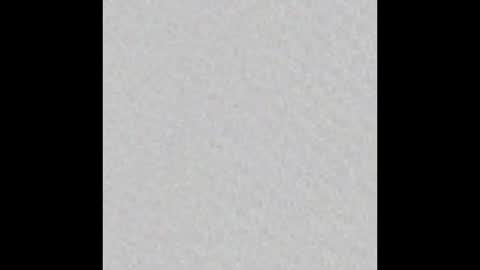 Snapshot of sophie_foxx chatting on December 2024 01:51:01 AM SOPHIE - FOXX online show from December 2024 01:51:01 AM