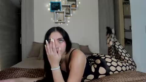 Snapshot of sophiebellucci chatting on July 2026 02:52:02 AM sophiebellucci online show from July 2026 02:52:02 AM