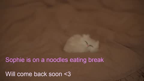 Snapshot of sophiephoria chatting on February 2025 07:40:02 PM Sophie Next stream 3 online show from February 2025 07:40:02 PM