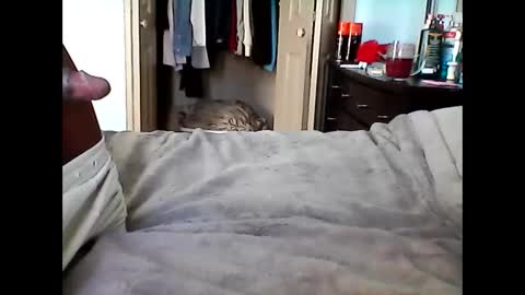 Snapshot of soulzen666 chatting on December 2025 09:01:02 PM Soul online show from December 2025 09:01:02 PM