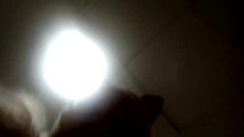 Snapshot of south_florida chatting on September 2025 07:37:02 PM Candy online show from September 2025 07:37:02 PM