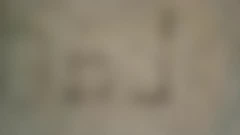 soveryhandsome online show from February 2025 07:33:01 PM