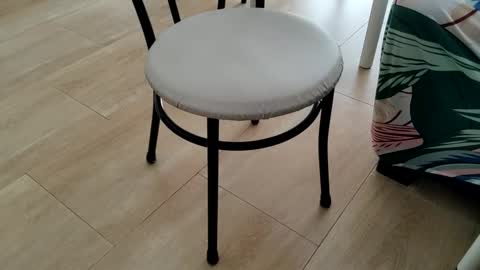 Leo online show from March 2026 01:51:01 PM