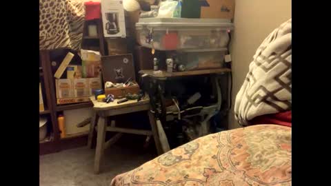 Snapshot of spermdoner23 chatting on November 2025 01:32:01 PM spermdoner23 online show from November 2025 01:32:01 PM
