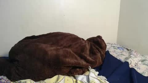 Snapshot of spice_queen chatting on February 2025 03:43:02 AM dela online show from February 2025 03:43:02 AM