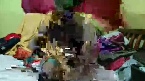 spicy_bella69 online show from May 2026 12:01:02 PM