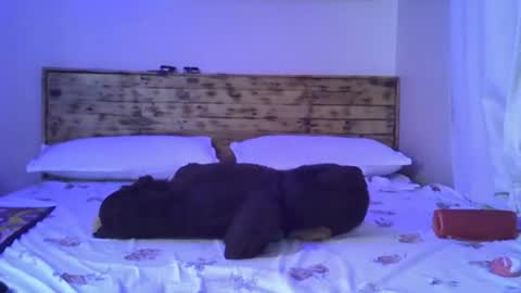 Splasher online show from October 2025 11:29:01 AM