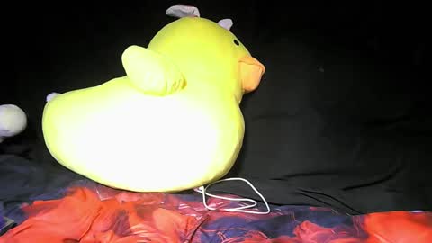 Daddy  His Splash Queen online show from December 2025 04:43:02 AM