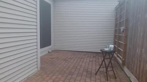 srtxshow online show from March 2025 11:24:02 PM