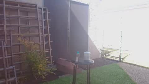 srtxshow online show from February 2026 06:00:02 PM