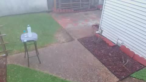 srtxshow online show from March 2026 10:13:02 PM