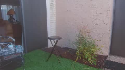 srtxshow online show from March 2026 11:33:01 PM