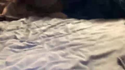 Snapshot of ssportz1392 chatting on November 2025 01:40:01 AM ssportz1392 online show from November 2025 01:40:01 AM