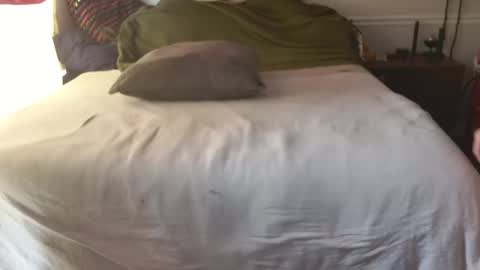 staloney online show from February 2026 03:49:02 PM