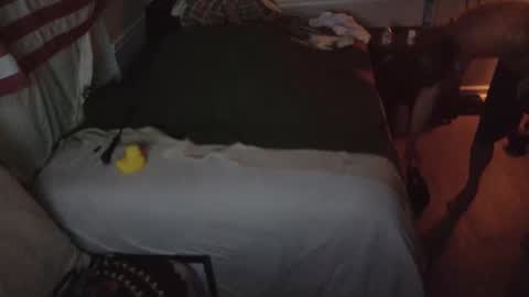 staloney online show from February 2026 09:52:01 AM