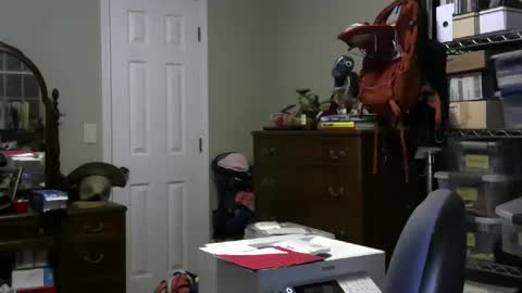 Snapshot of stasw20 chatting on January 2025 03:09:01 AM stasw20 online show from January 2025 03:09:01 AM