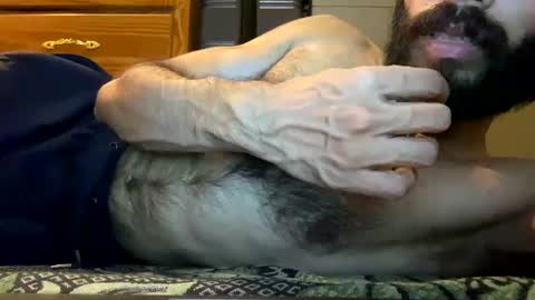 Lobo del Antiguo Oriente online show from April 2026 11:54:02 PM