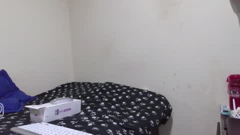 STEFANA online show from November 2025 05:44:01 AM