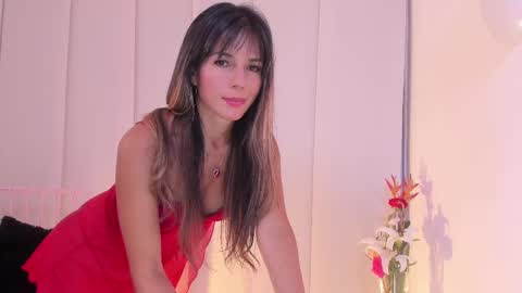 Snapshot of steffy_dan chatting on February 2025 07:48:02 AM Steffy online show from February 2025 07:48:02 AM