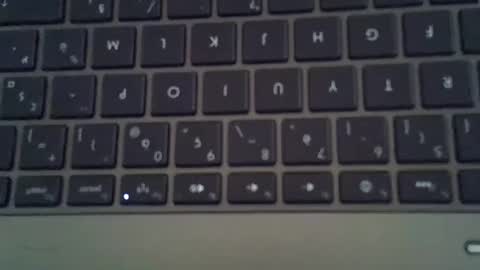 Snapshot of steflab chatting on November 2025 11:21:02 AM steflab online show from November 2025 11:21:02 AM