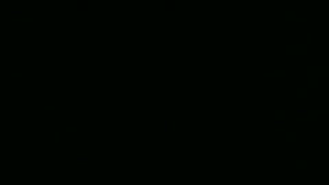 Snapshot of steflab chatting on February 2026 10:57:01 AM steflab online show from February 2026 10:57:01 AM