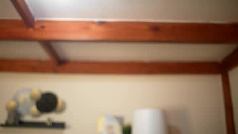 Stella online show from February 2026 09:08:01 AM