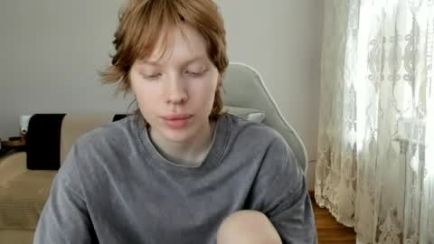 S T E L L A online show from June 2026 11:05:01 AM