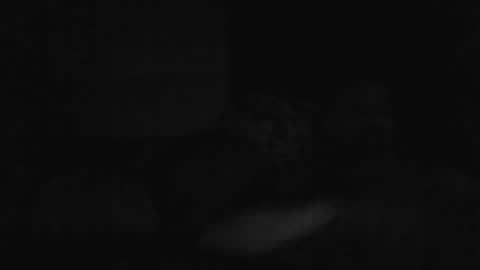 stephan6078 online show from January 2025 05:26:02 AM