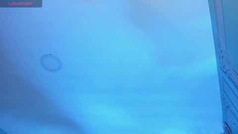         online show from November 2025 03:17:01 AM