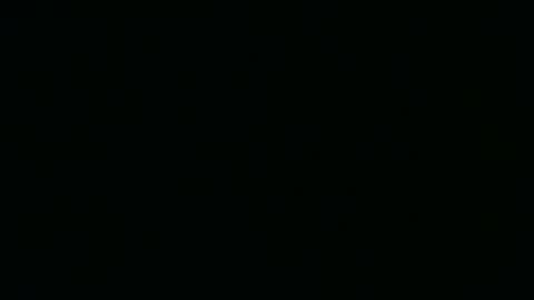 Lynne online show from December 2025 04:09:01 AM