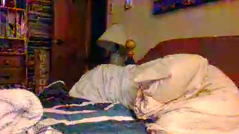 Snapshot of sterben13v chatting on December 2025 12:01:02 PM Ian23602 online show from December 2025 12:01:02 PM