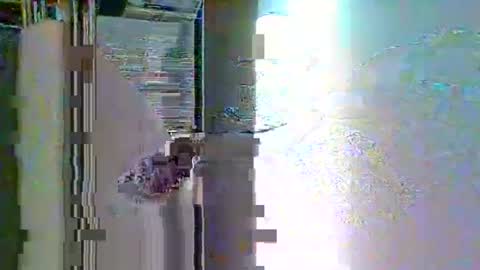 Snapshot of sterben13v chatting on January 2026 01:37:02 PM Ian23602 online show from January 2026 01:37:02 PM