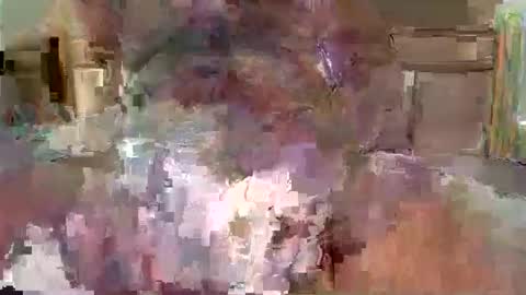 steveconrad123 online show from February 2026 11:31:01 AM