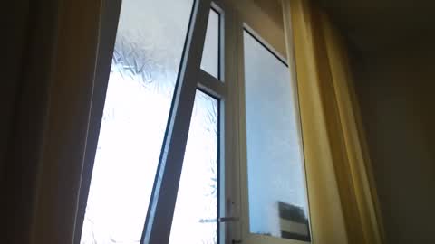 Steven online show from March 2025 01:06:02 PM